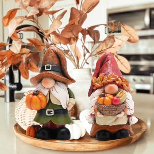 Hodao Fall Pumpkin Gnome Figurines, Thanksgiving Decorations, Set of 2 - color: Thanksgiving Gnomes-a