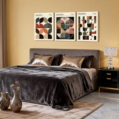 Doqueodas 3Pcs Bauhaus Geometric Canvas Wall Art Set, 16x24 inch framed - color: Bauhaus Art Framed, size: 24"Lx 16"W