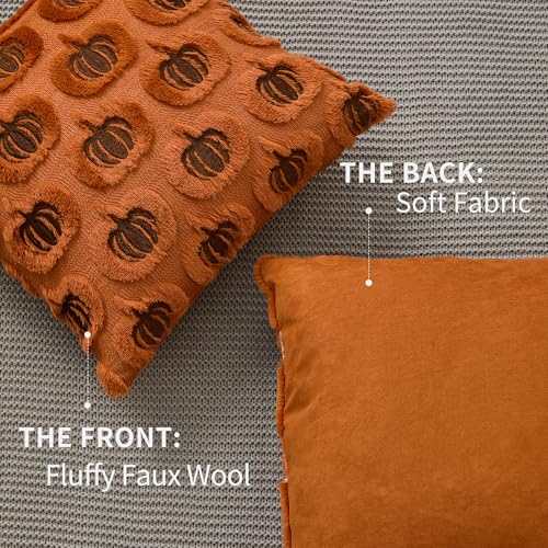 DFXSZ Fall Pillow Covers 18x18 Set of 2 Rust Pumpkins Embroidery Brown - color: Rust Brown Pumpkin, size: 18" x 18" (Pack of 2)
