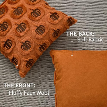 DFXSZ Fall Pillow Covers 18x18 Set of 2 Rust Pumpkins Embroidery Brown - color: Rust Brown Pumpkin, size: 18" x 18" (Pack of 2)