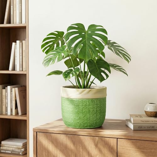 8 Inch Plant Pot, Ceramic Pots for Plants, Round Flower Pots, Green - color: Green, size: 8 Inch