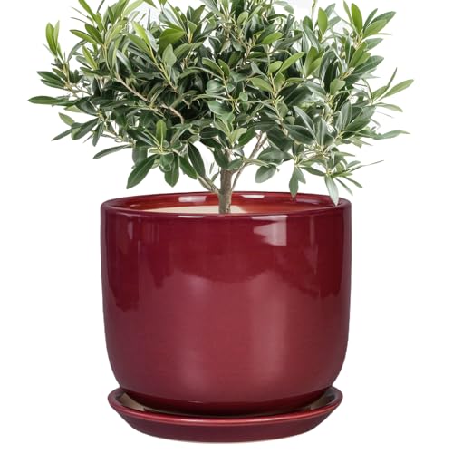 Ceramic Flower Pot for Plants, 8 Inch Plant Pot, Red - color: Red, size: 8 Inch