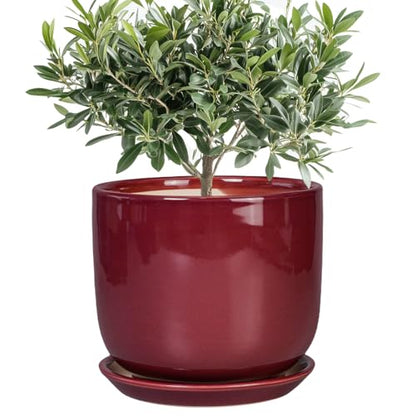 Ceramic Flower Pot for Plants, 8 Inch Plant Pot, Red - color: Red, size: 8 Inch