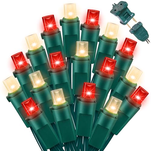 LAMPHOME Red Warm Valentine's String Lights Indoor Outdoor Waterproof,Expandable 21.6 Ft 100 LED Christmas Fairy Light Valentine's Day Garland Party Patio Bedroom Xmas Tree Galentine's Day Decoration - color: Red and Warm white, size: 100 Count