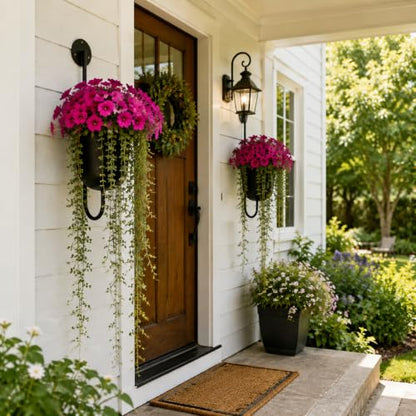 3 Pack Wall Mounted Plant Holders, Metal Hanging Planters & Wall Plant Decor