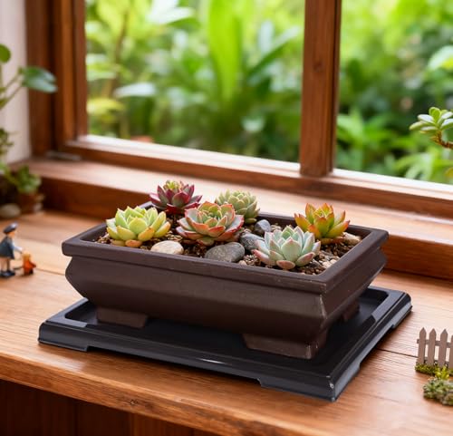 MUZHI Unglazed Ceramic Bonsai Pot with Drainage Tray, Rectangle Vintage Brown Bonsai Planter with 4 Raised Feet for Juniper Maple, Succulent Planter Pot with Drip Tray (Elegant Rectangle) - style: Elegant Rectangle