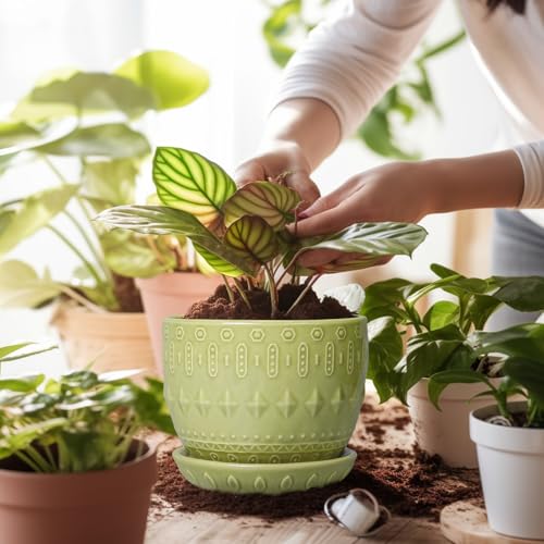G EPGardening Ceramic Planter 5.5 Inch, Boho Plant Pot Indoor, Green - color: Columnar Green