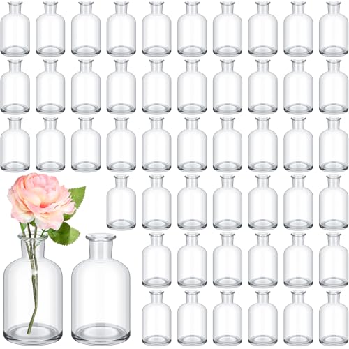 Lallisa 54 Pcs 3.15 Inches Small Glass Bud Vases Bulk Mini, Clear - color: Transparent, size: 3.15 Inches