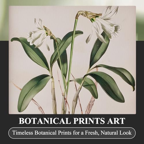 Framed Botanical Wall Art for Bathroom, 4 Pcs, 8x10 Inch