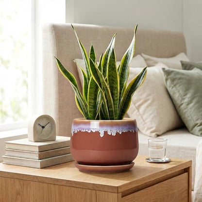 Ceramic Pots for Plants 7 Inch, Ceramic Planters, Red-Purple - size: 7 Inch, style: Red-purple