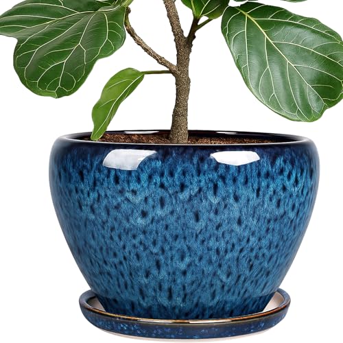 Deep Dream 10 Inch Plant Pot- Ceramic Planter Pot Round Plant Pots for Indoor Plants Outdoor Large Flower Pot with Drainage Holes & Trays, Blue - color: Blue, size: 10 Inch