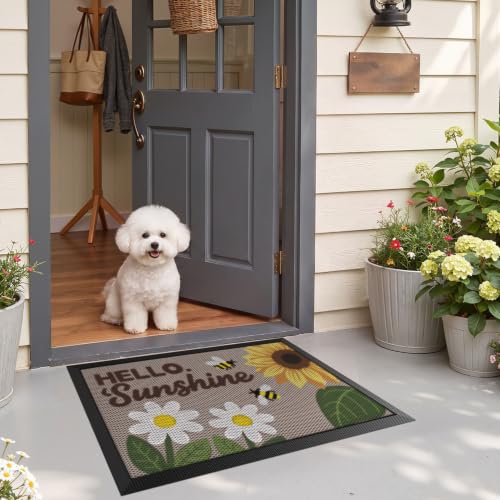 LUMI Outside Welcome Door Mat 17x30, Non-Slip Durable Rubber Easy Clean - color: Sunshine, size: 17"x30"