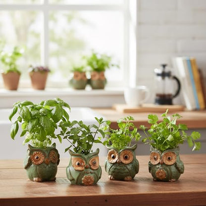TOPZEA 10 Pack Succulent Planter Pots with Drainage Hole, Cute Owl Ceramic Small Planters Animal Tiny Flower Plant Pots Containers Indoor for Cactus, Herb, Home, Garden, Windowsill, Coffee Table Decor