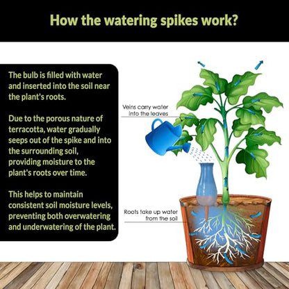 Ollas (Set of 4) | 12oz Terracotta Plant Watering Globes - Self Watering Planter Insert - Automatic Plant Watering Devices | Vacation Watering Pots for Indoor & Outdoor Plants - color: Black, Blue, White and Pink