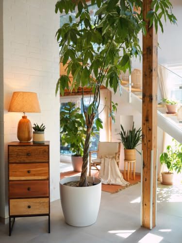 Lechuza Classico Color 43 White, Self-Watering Round Planter, D16.5 H15.7 in - color: White Matte, style: 43