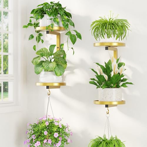 LASZOLA Plant Hanger Holder Window Shelf Wall Mounted Indoor, 2 Pcs Gold - color: Warm Gold, size: 2