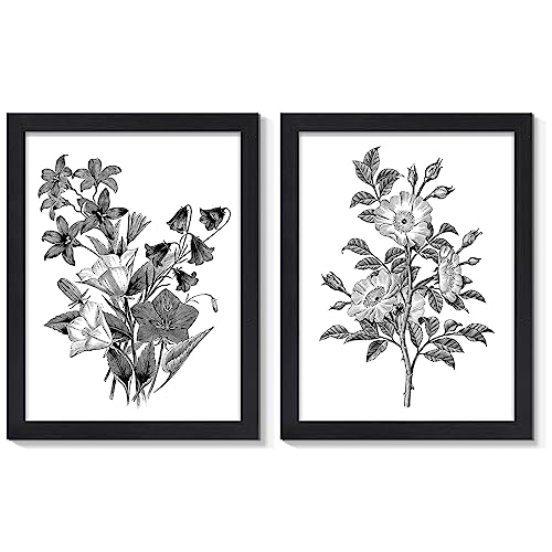 Vintage Botanical Prints Black White Floral Canvas Wall Art, 12"x16"x2Pcs - color: Retro Flower Black Frame