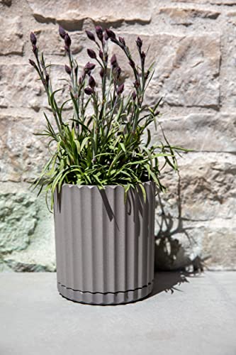 Veradek Demi Series Demi 6" Planter w/Tray, Grey - color: Gray, size: 6 inch