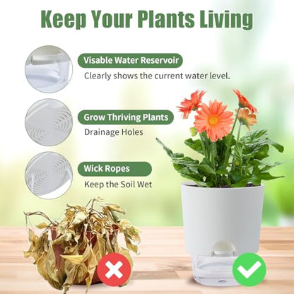 Oliz 6 Inch Self Watering Planter Pots for Indoor Plants, 3 Packs African Violet Pots with Wick Rope and Visible Reservoir Self Watering Planter for Herb, Houseplants