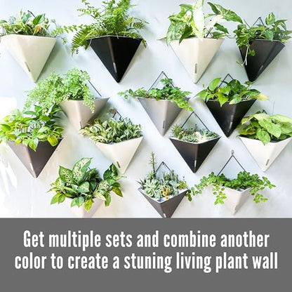 LaLaGreen Wall Planter (12in, 4 Pack) Large Indoor Self Watering Flower Pot - color: White X 2 Pack & Gray X 2 Pack