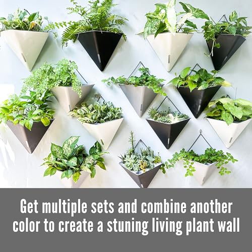 LaLaGreen Wall Planters for Indoor Plants (12in, 2 Pack) White Planter - color: White X 2 Pack
