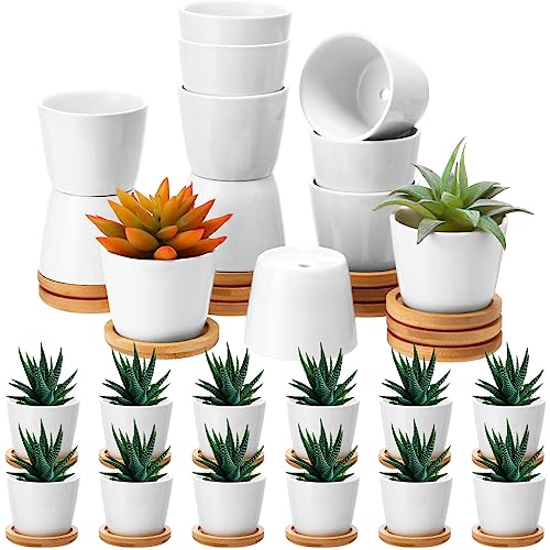 Hsei 24 Pack 2.5 Inch Mini Ceramic Succulent Pots with Bamboo Trays, White