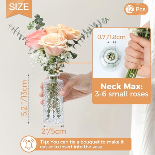 ComSaf Small Glass Bud Vases in Bulk, 12 Pack for Centerpieces, Clear - color: Clear, size: 12 Pcs