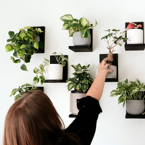 Daniel's Plants 3 Pack Mid-Century Modern L Shaped Wooden Plant Shelf Kit | Wall Mounted Floating Shelves | Solid Wood Wall Planter Shelf | Midnight Black - color: Midnight Black