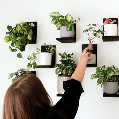 Daniel's Plants 3 Pack Mid-Century Modern L Shaped Wooden Plant Shelf Kit | Wall Mounted Floating Shelves | Solid Wood Wall Planter Shelf | Midnight Black - color: Midnight Black