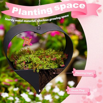 Metal Plant Hangers Indoor and Outdoor: Pots with Drainage Hole - color: Black Heart
