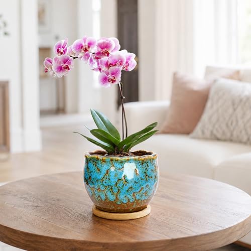 ARTKETTY Succulent Pots, 4 Pack Small Plant Pots with Drainage Tray - color: 4'' Colorful 2