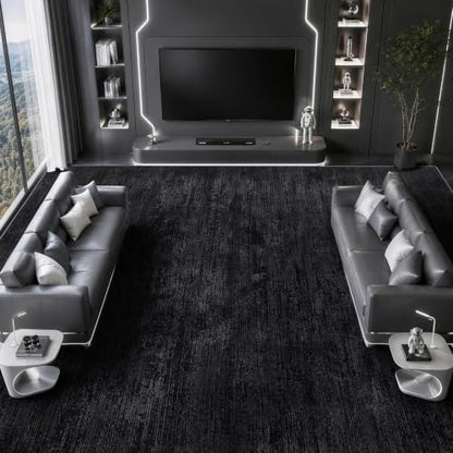 LIANLAM Silver Infused Self-Cleaning Area Rug for Living Room (6x9,Black) - color: Black(silver), size: 6' x 9' (Rectangular)