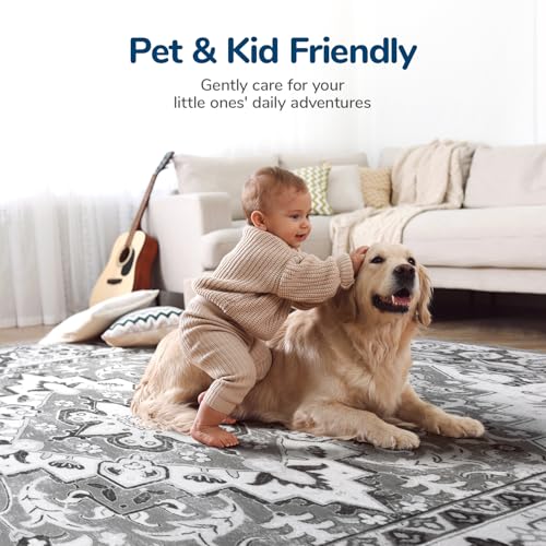Lessymo Washable Area Rugs 6x9, Boho Soft Carpets for Bedroom Living Room - color: Grey Beige, size: 6' x 9' (Rectangular)