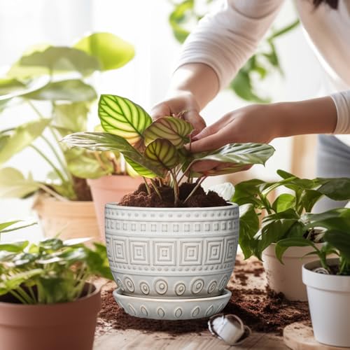 G EPGardening Ceramic Pots for Plants, 5 Inch Plant Pot, White - color: Palindrome White