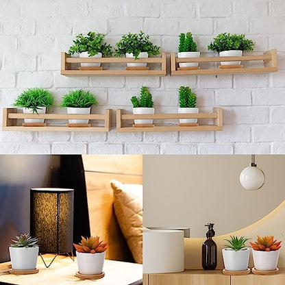 Hsei 24 Pack 2.5 Inch Mini Ceramic Succulent Pots with Bamboo Trays, White