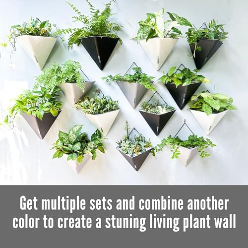 LaLaGreen Wall Planters for Indoor Plant (12in, 4 Pack) Hanging Flower Vase - color: Gray X 4 Pack