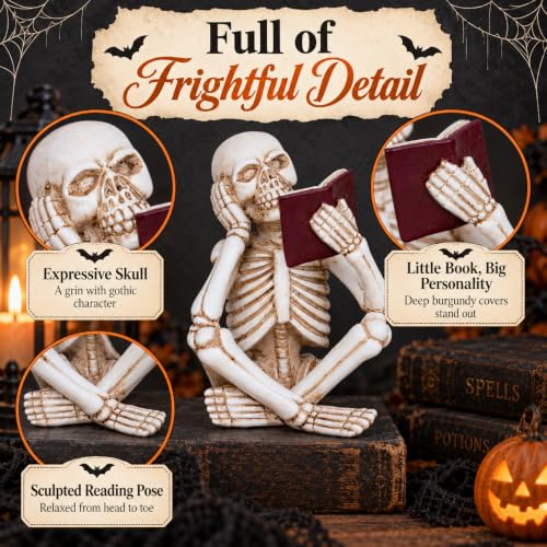 3 Piece Halloween Indoor Decor Figurines Sitting Skeleton Statue Halloween Decorations mini Reading Skull Figurine Home Decor for Living Room Table Shelf Ornament