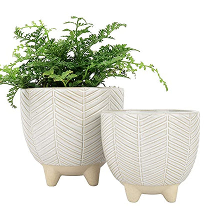 LA JOLIE MUSE Ceramic Plant Pots, Flower Pots for Indoor Plants, Set of 2