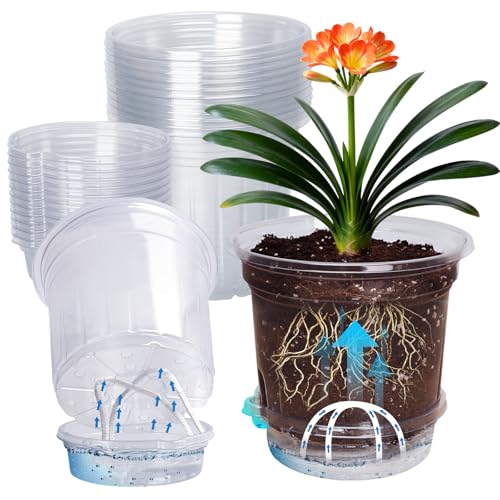 MIXC 12 Pack 6.5 Inch Self Watering Pots for Indoor Plants-Clear Plastic - size: 6.5 Inch (12 Pack)
