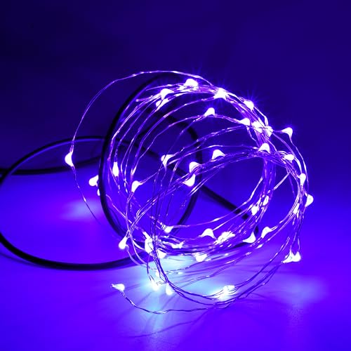 Karlling USB Plug in LED Fairy Lights,50 LED Bulbs 16 Ft Silver Wire Starry String Lights for Bedroom Patio Garden Party Wedding Commercial Lighting (Purple) - color: Purple, size: 50 Leds