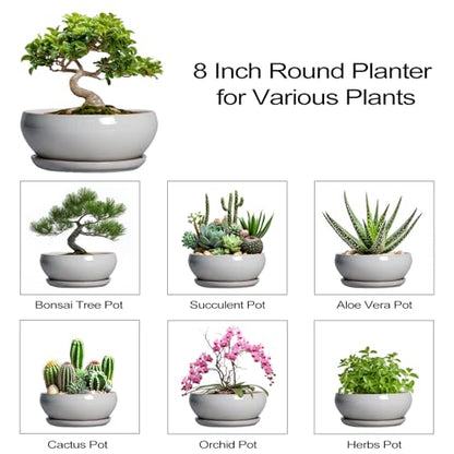 SQOWL Bonsai Tree Pots, 8 Inch Ceramic Plant Pots with Saucer, Gray - color: Gray, size: 8 Inch