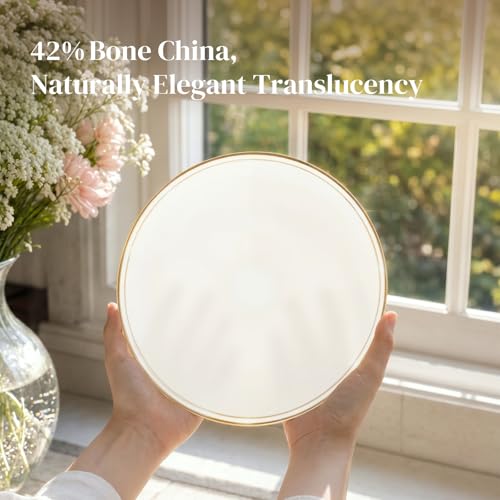 DOWAN 9 Inch Gold Rimmed Footed Decorative Bowl, 42% Bone China Fruit Bowl with Double Gold Line Design, European Ceramic Bowl for Entryway Coffee Table Decor & Storage, Dishwasher Safe