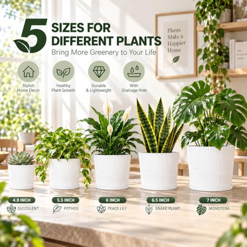 2 Plant Pots Indoor,4.8''+5.5'' Small Flower Pots with Saucers & Drainage - color: White, size: 4.8''+5.5''