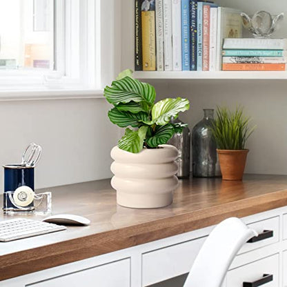 Ceramic Plant Pot, 6 Inch White Ceramic Planter with Drainage Holes - color: Creamy White