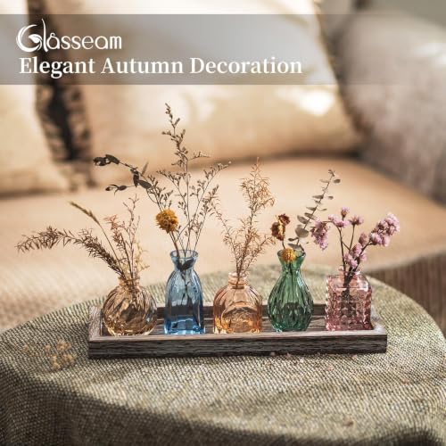 Glasseam Glass Bud Vases for Flower: 5 Pcs Small Vases with Wooden Tray - color: Colorful-embossed
