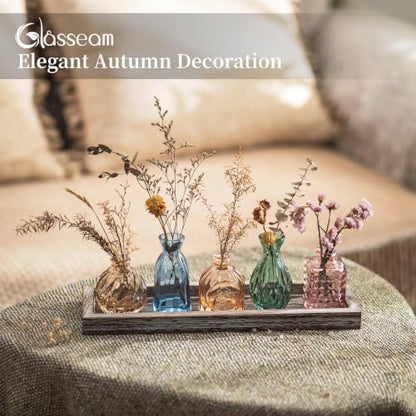 Glasseam Glass Bud Vases for Flower: 5 Pcs Small Vases with Wooden Tray - color: Colorful-embossed