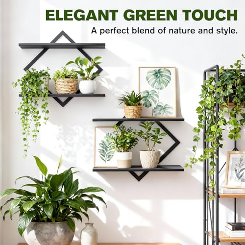 2 Pack Wall Planters for Indoor Plants, Black - color: Black-2pack