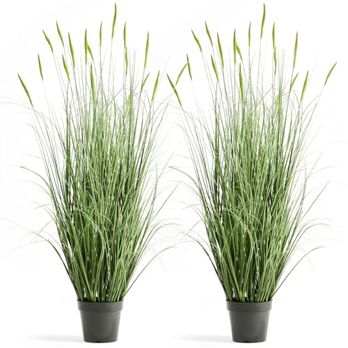 Faux 4ft 2-Pack Horsetail Reed Grass with Green Spikes in Black Pot - color: Green
