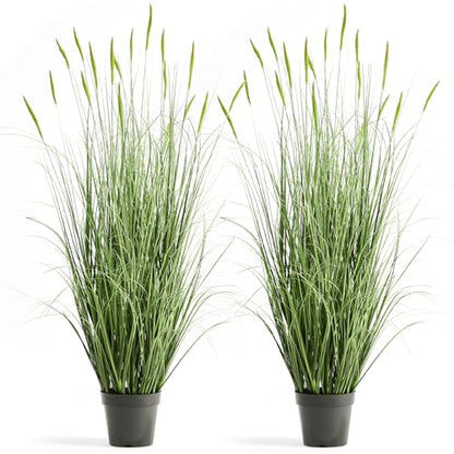 Faux 4ft 2-Pack Horsetail Reed Grass with Green Spikes in Black Pot - color: Green