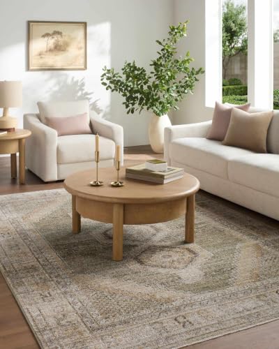 Hauteloom Yiwep Hallway, Kitchen Runner Rug - Bohemian Transitional - Taupe, Olive, Medium Brown - 2'6" x 7'3" - color: Taupe, Olive, Medium Brown / Elinor, size: 2'6" x 7'3" (Runner)
